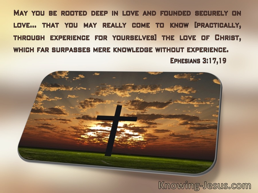 Ephesians 3:17 May You Be Rooted Deep In Love (windows)11:23